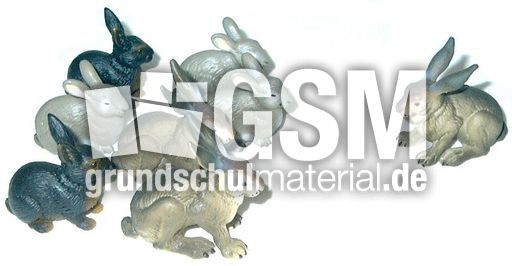 Hasen7+1.jpg